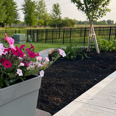 5 Easy Steps to Get Your Garden Beds Ready for Spring: A Simple Guide
