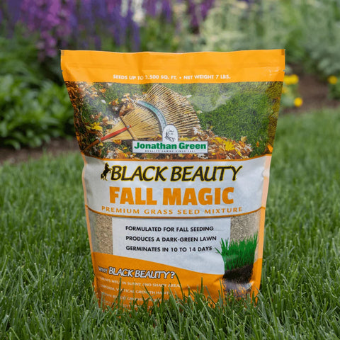 (7104) Black Beauty Fall Magic Grass Seed 3lb Bag - Jonathan Green