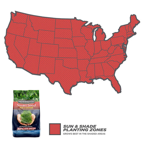 #6902 - Pennington Sun & Shade Mix 3lb
