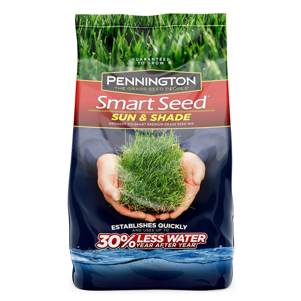 sun and shade grass seed lowes Pennington 100526659 Smart Seed Sun & Shade Grass Seed, 3 lb