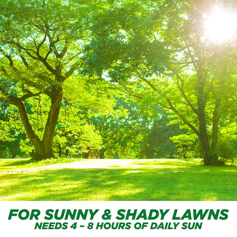 #6905 - Pennington Tall Fescue Bld 3lb