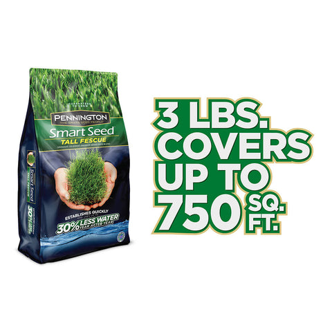 #6905 - Pennington Tall Fescue Bld 3lb