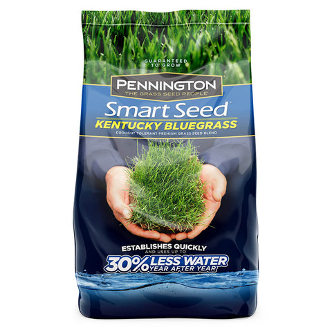 #6904 - Pennington Kentucky Bluegrass 3lb