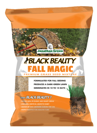 planting grass seed in fall ohio (6015) Black Beauty Fall Magic Grass Seed (per lb)