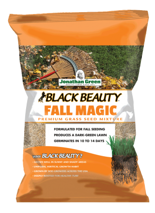 #6015 - Black Beauty Fall Magic Grass Seed (per lb)
