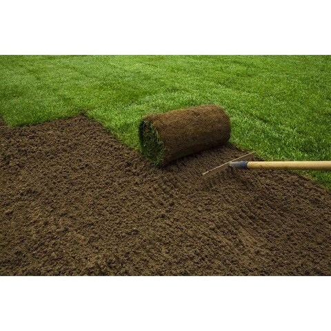 #9901 - Kentucky Blue/Fescue blend Grass SOD by the Pallet or Piece - 21" x 42"