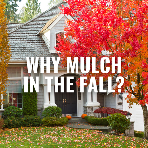 Why Mulch in the Fall?
