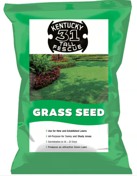 (7144) Black Beauty Kentucky 31, per lb Jonathan Green