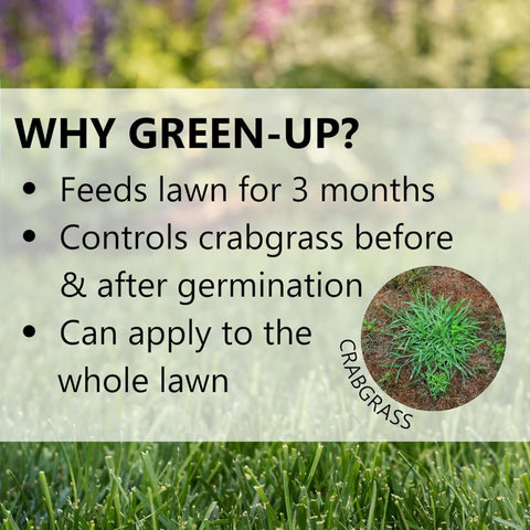 crabgrass herbicide for fescue (7152) Jonathan Green Crabgrass Preventer 50lb