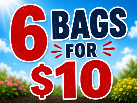 6 bags for $10