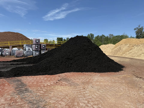 *NEW PRODUCT* Midnight Black Cypress - 2cf
