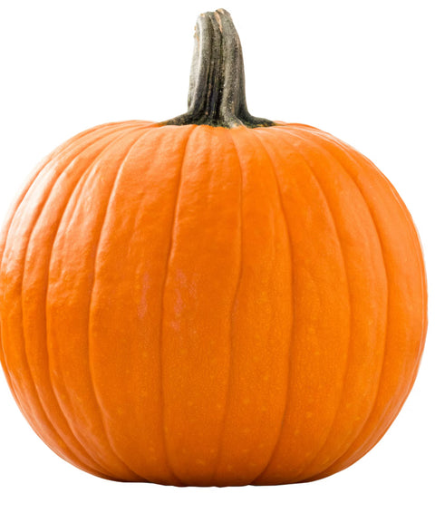 (8001) Pumpkin