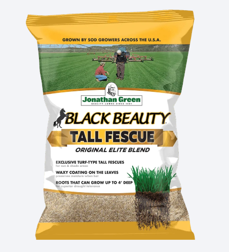 (7141) Black Beauty Original, per lb Jonathan Green