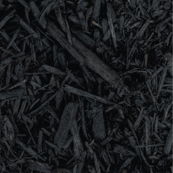 #1951 - Absolute Black Shredded Mulch (1.5 CF)