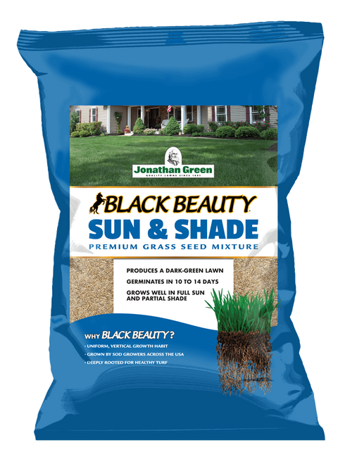 #6016 Black Beauty Sun & Shade Grass Seed (per lb)