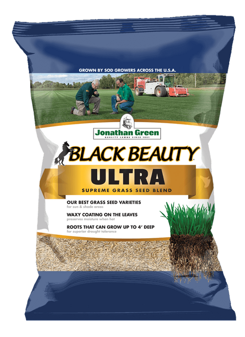 #6013 - Black Beauty Ultra Grass Seed (per lb)
