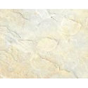Pennsylvania Pattern Flagstone #7270 Per Lb.