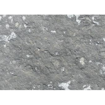 Glacier Gray Steppers (per lb) #7521