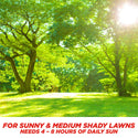 #6902 - Pennington Sun & Shade Mix 3lb