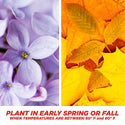 #6902 - Pennington Sun & Shade Mix 3lb