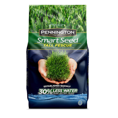 #6905 - Pennington Tall Fescue Bld 3lb