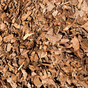 #302 - Small Pine Bark Mulch (2 CF)