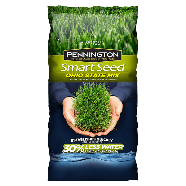 plant grass seed ohio #6910