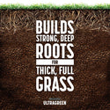 #8331 - Pennington UG Lawn Starter