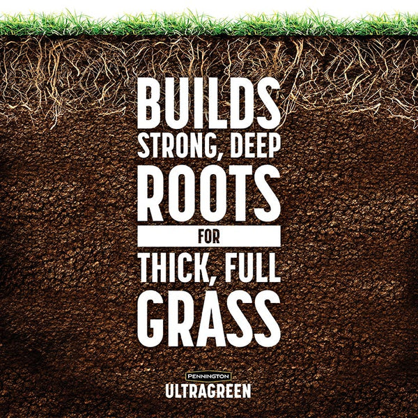 #8331 - Pennington UG Lawn Starter