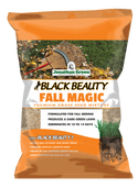 #6015 - Black Beauty Fall Magic